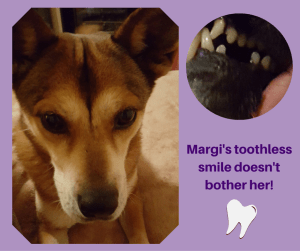 Margi's toothless smile doesn't bother her!
