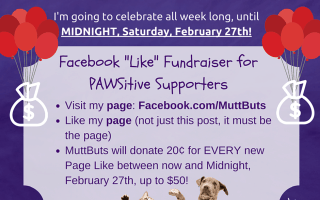 Birthday Facebook "LIKE" Fundraiser