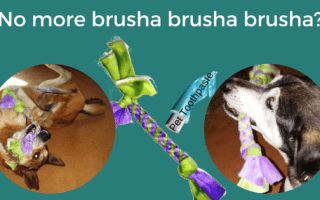 No more brusha brusha brusha-
