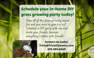 Schedule your in-home DIY grass growing party today!