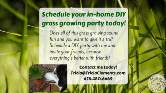 Schedule your in-home DIY grass growing party today!