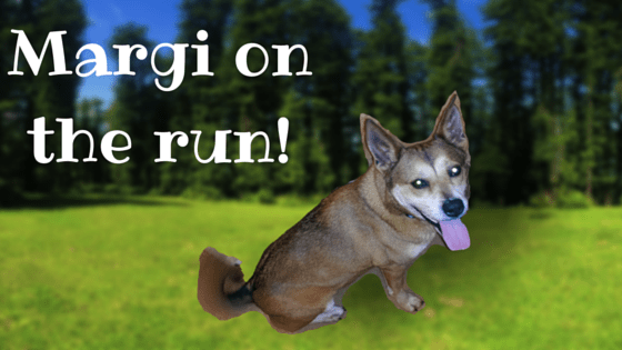 Margi on the run!