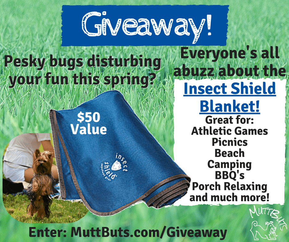 MuttButs Insect Shield Blanket Giveaway