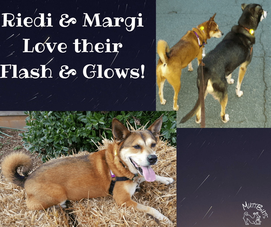 Riedi & Margi Love their Flash & Glows!