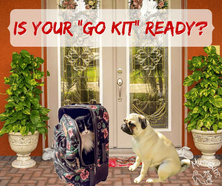 Is your Go Kit ready