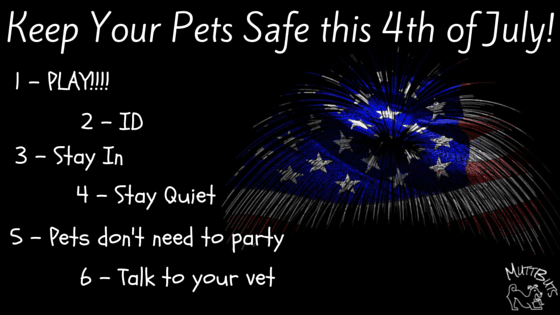 Pet Fireworks Safety