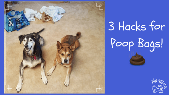 3 Hacks for Poop Bags!