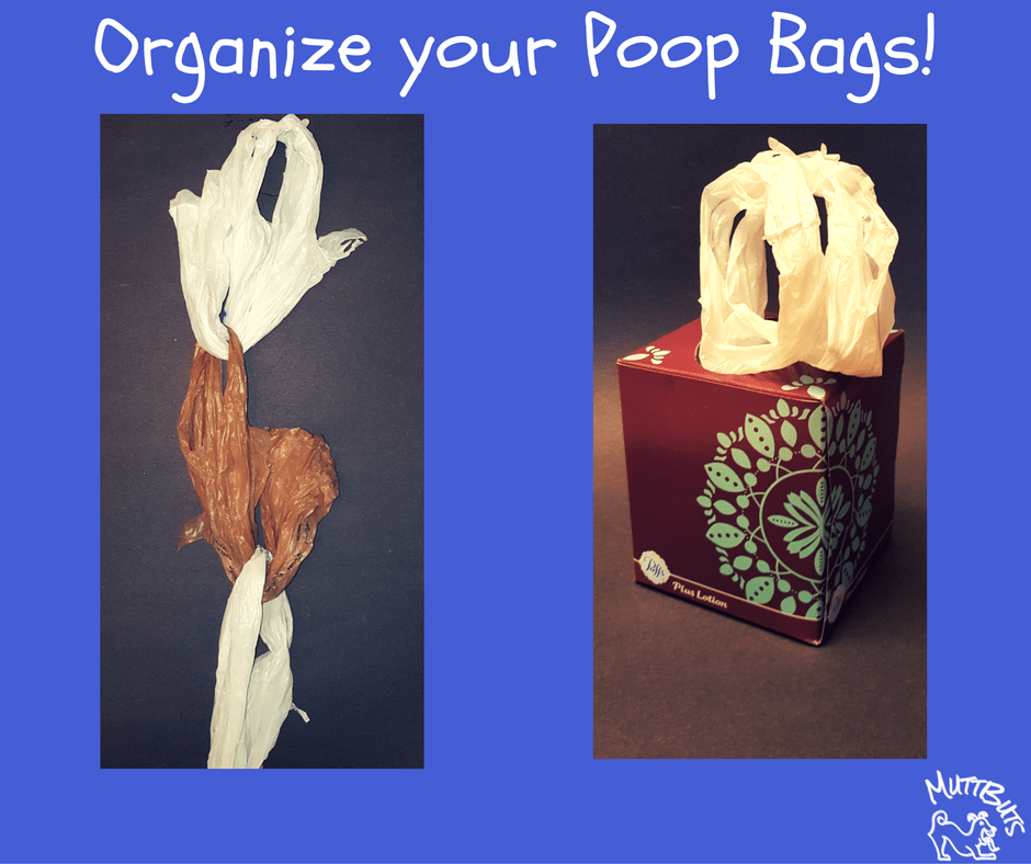 Organize your Poop Bags!