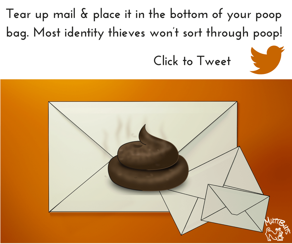 Poop in Mail