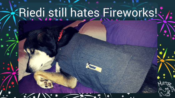 Riedi still hates Fireworks! 