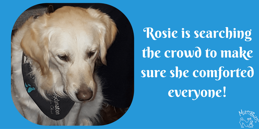 rosie-comforting-everyone