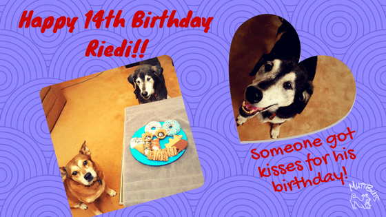 riedis-14th-birthday-1