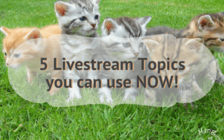 Photo of Kittens featuring 5 Livestream Topics