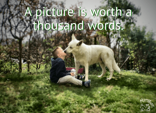 Dog kissing boy, A picture is worth a thousand words