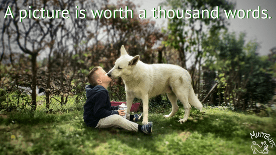 Dog kissing boy, a picture is worth a thousand words