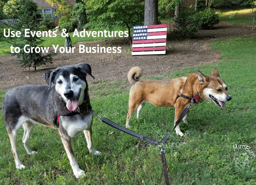 Cute Dogs with patriotic flag, Use Events & Adventures to Grow Your Business