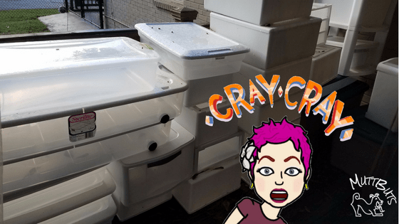 Rubbermaid Boxes, Cray Cray Emoji