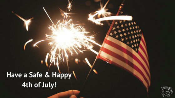 Safe & Happy 4th of July, Flag, Fireworks