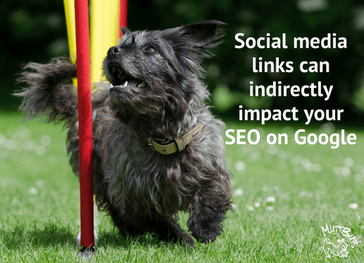 Social media links can indirectly impact your SEO on Google, Cute dog