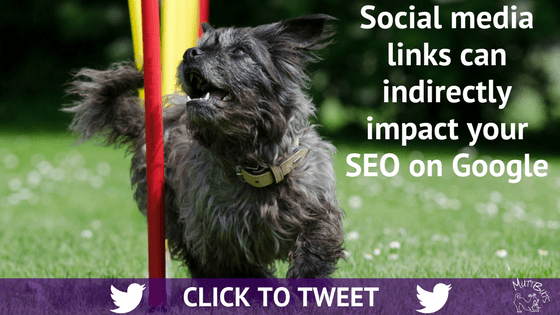 Social media links can indirectly impact your SEO on Google, cute dog, click to tweet