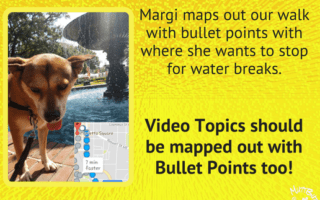 Cute Dog, Water Fountain, Map out walk, Video Bullet Points