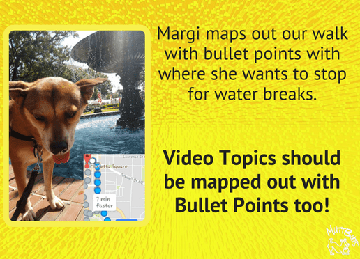 Cute Dog, Water Fountain, Map out walk, Video Bullet Points