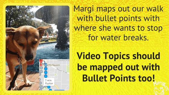 Cute Dog, Water Fountain, Map out walk, Video Bullet Points