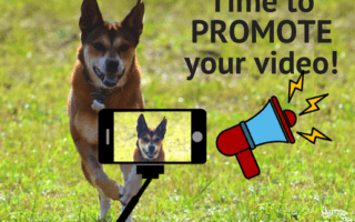 Cute dog and bullhorn, promote your video