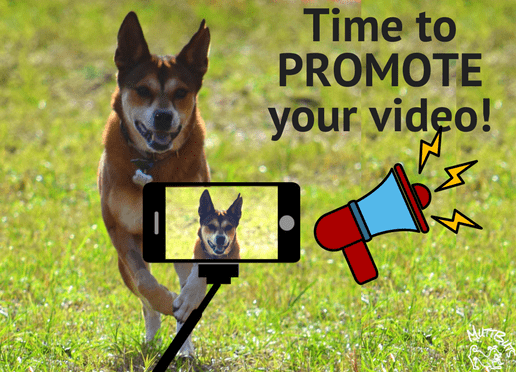 Cute dog and bullhorn, promote your video