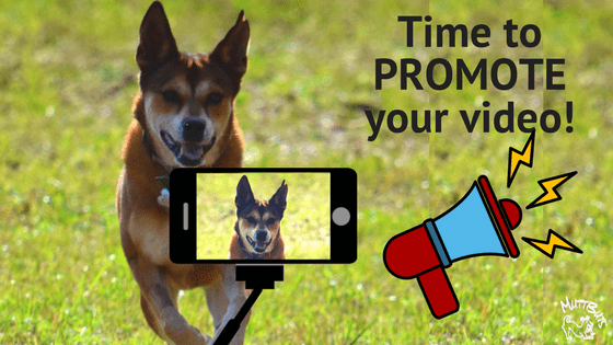 Cute dog and bullhorn, promote your blog