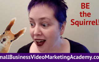 Small Business Video Marketing Academy, surprised at cute squirrel