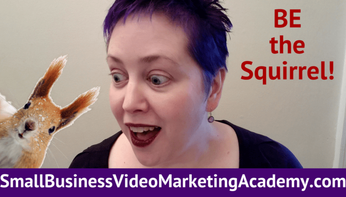 Small Business Video Marketing Academy, surprised at cute squirrel