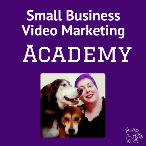 Small Business Video Marketing Academy