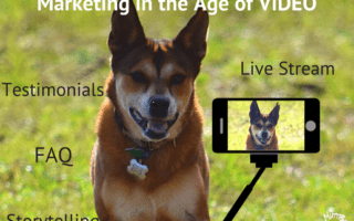 Cute dog on video, Marketing in the Age of VIDEO