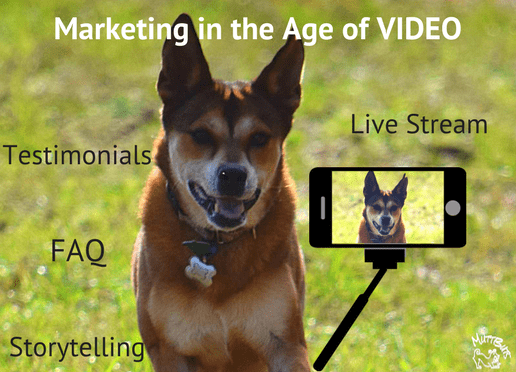 Cute dog on video, Marketing in the Age of VIDEO