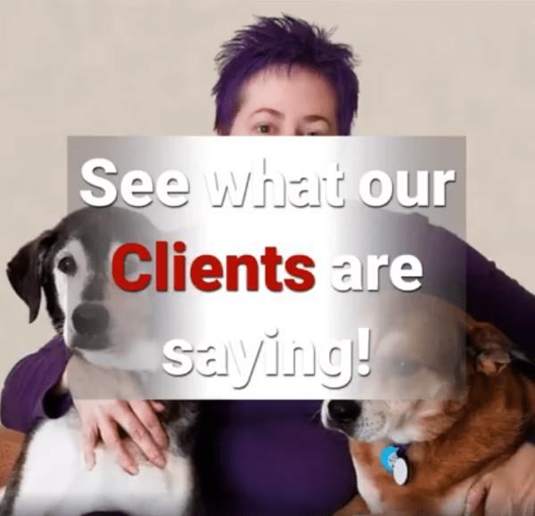 Testimonials with cute dogs
