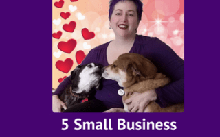 Small Business Video Tips, Cute Dogs Kissing