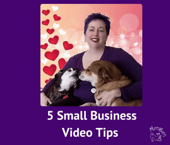 Small Business Video Tips, Cute Dogs Kissing
