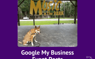 Cute dog at music park, Google My Business Event Posts