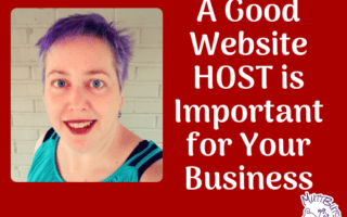 Website host is important for business