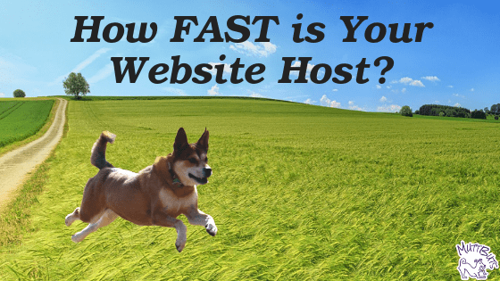 Dog running fast, fast website