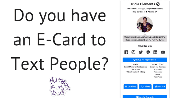 Professional Business E-Card