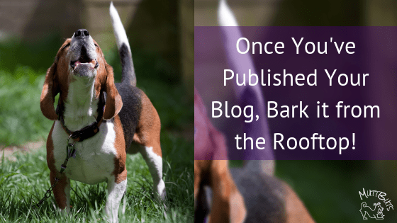 Connecting with your community, dog barking