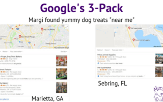 Google's 3-Pack Dog Treats Near Me search
