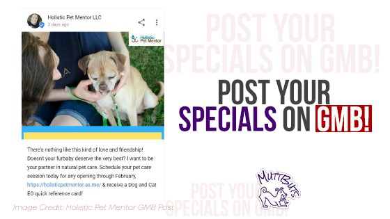 Post Specials on GMB cute dog at Holistic Pet Mentor