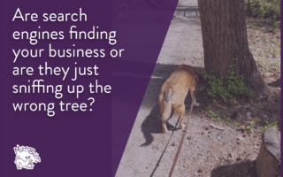 Cute tan basenji mix dog sniffing tree business citation quote