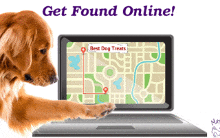 Golden retriever dog searching laptop for dog treats near me