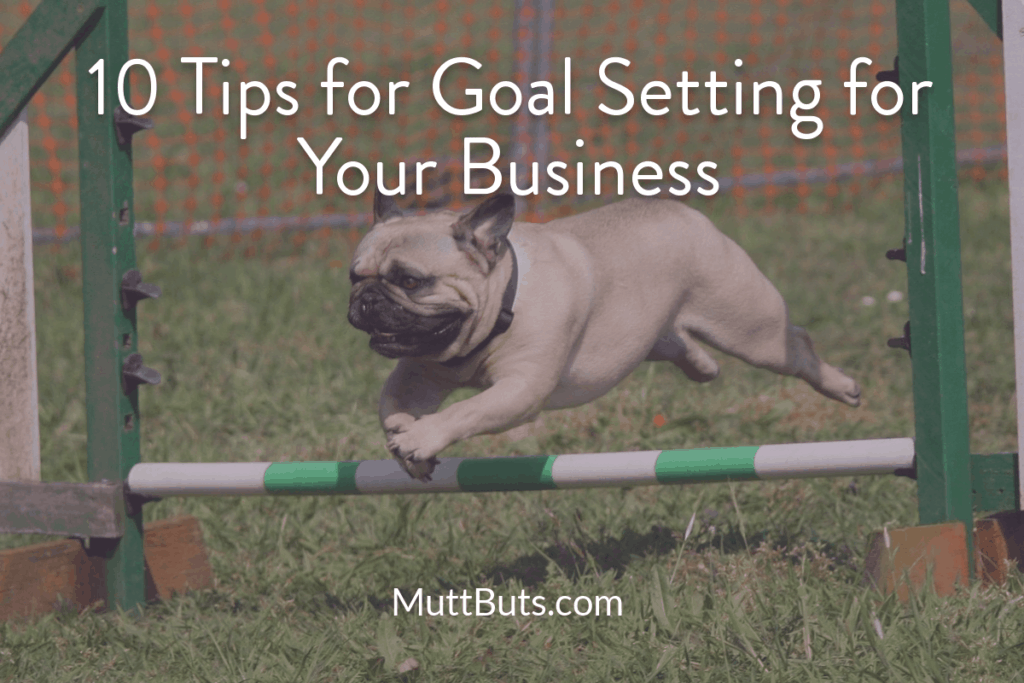 tan pug jumping agility course goals quote